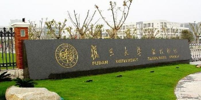 复旦大学人口研究所陈月新_复旦大学