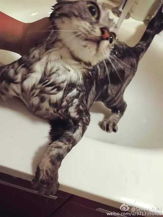 麻!!大夫都说了我不能洗热水澡!!!!