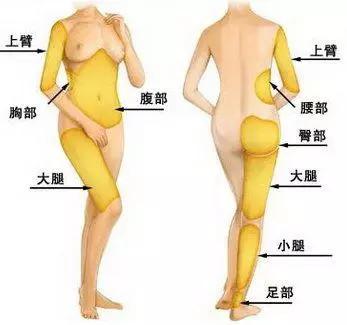 资料图