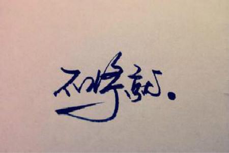 不将就