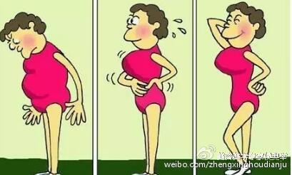 脂肪的位置