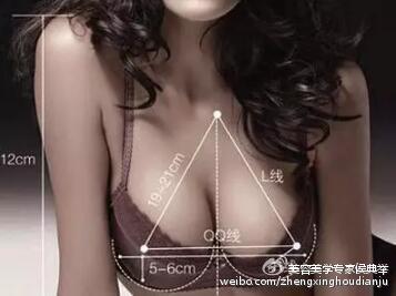 体型