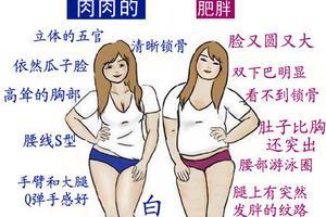 肉肉的和肥胖的区别
