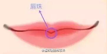 唇珠