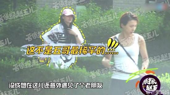 张馨予