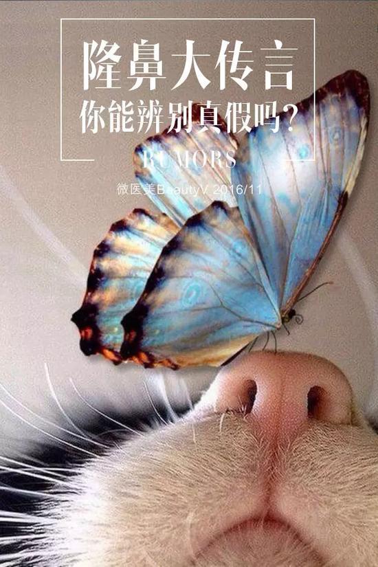 隆鼻大传言