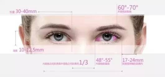 动态美