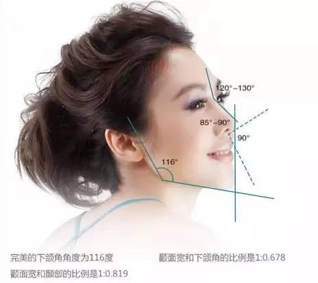 理想脸型
