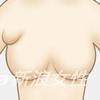 副乳