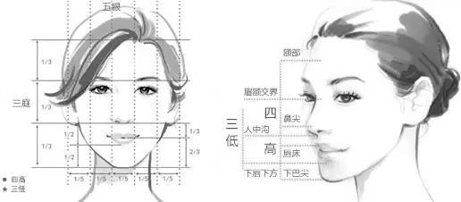 鼻子