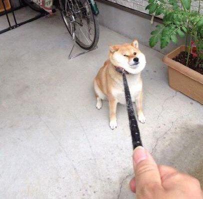 产生互动
