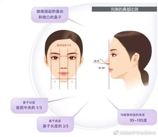好看的鼻子