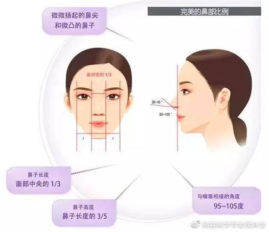 理想的鼻子