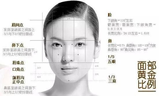 女神图镇楼