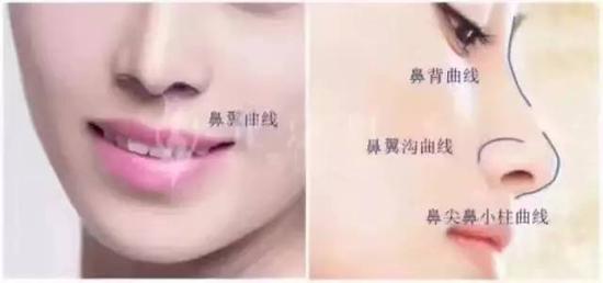 黄金审美观
