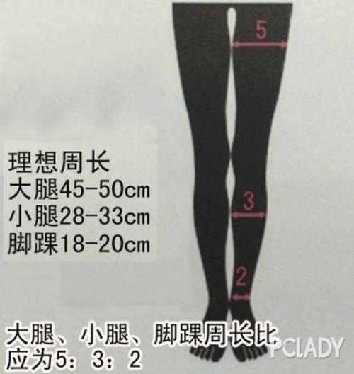 腿围比例