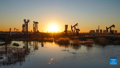 Workers overcome unfavorable factors to meet annual production targets in Jidong Oilfield