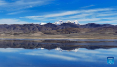 Winter scenery of Zhegu lake in Shannan City, Tibet