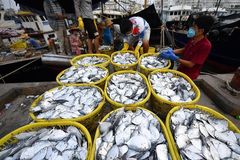 Fishing industry resumes operation in south China's Hainan