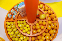 A look at exhibited goods at CIIE