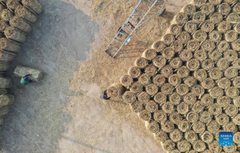 Farmers recycle straw to increase income