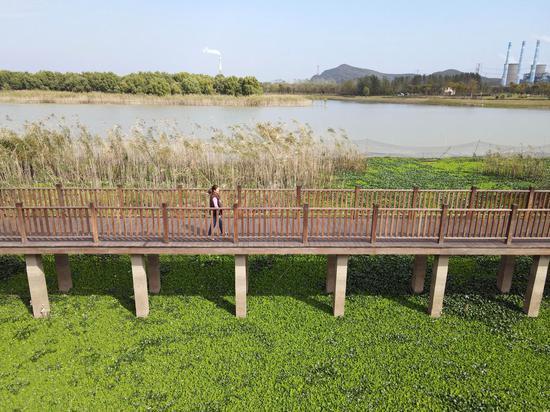 Aerial photo taken on Oct. 31, 2020 shows Chen Lanxiang walking on a bridge in Xuejiawa in Ma'anshan, east China's Anhui Province. (Xinhua/Zhou Mu)