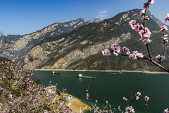 Spring scenery along section of Yangtze River in Hubei