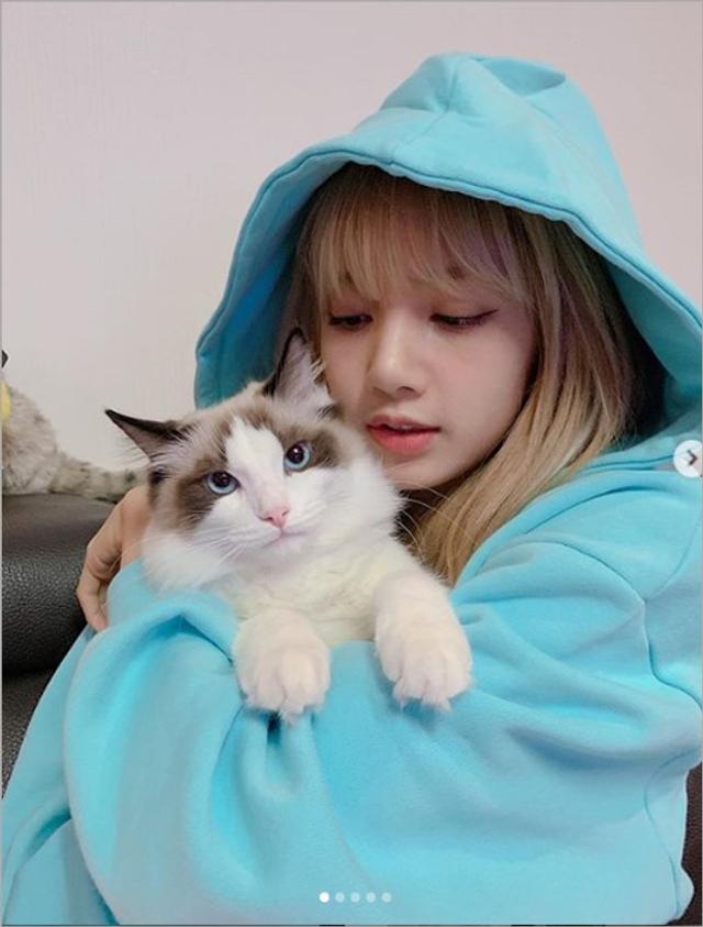 blackpink成员lisa抱猫咪合影 喵星人被挤脸