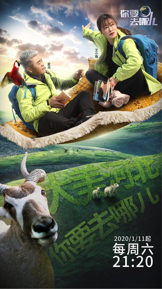 《你要去哪儿》海报