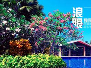 独家曝光朱孝天婚礼现场 碧海蓝天好风光