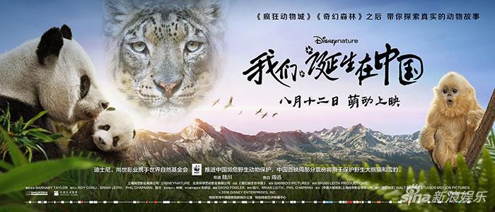 《我们诞生在中国》斩获6500多万,算得上纪录片中不错的成绩