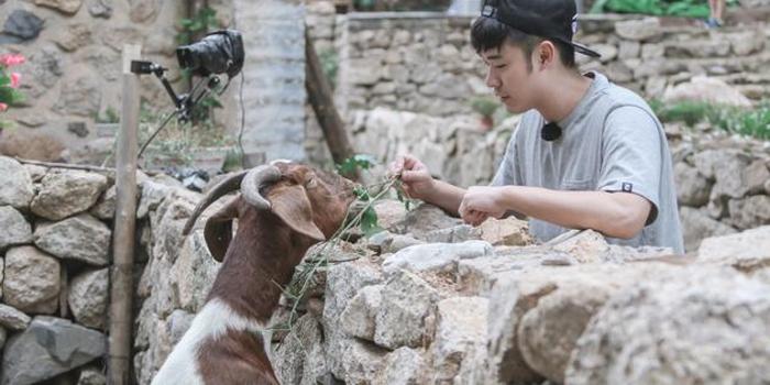 《生活》陈赫险遭Henry扒裤子