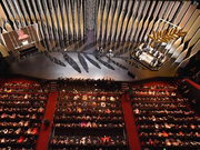 组图：克鲁格获戛纳影后狂吻导演 影帝菲尼克斯携鲁妮玛拉撒狗粮