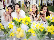 组图：安以轩与富商男友夏威夷大婚 董璇陈乔恩等出席欢迎宴