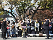 组图：双宋今日大婚 婚礼外场粉丝现场守候