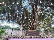 视频：付辛博颖儿巴厘岛大婚现场曝光 浪漫唯美似童话