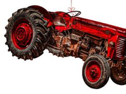 周迅窦靖童新片合作演母女 陈建斌执导春夏加盟