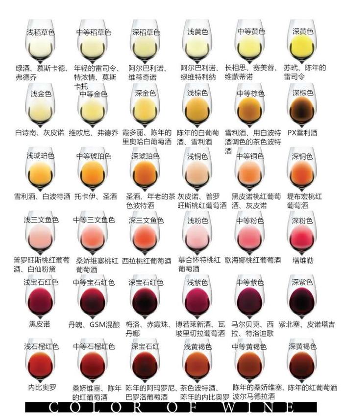 图片来源:Wine Folly