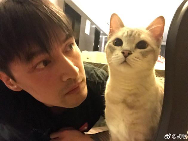 猫奴的日常