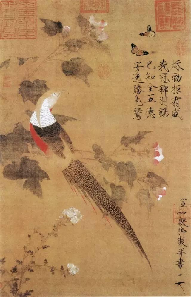 芙蓉锦鸡图轴