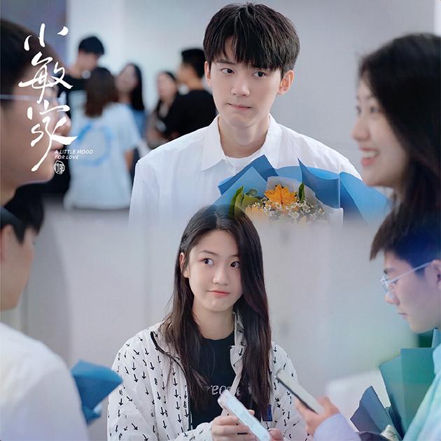 电视剧小敏家海报