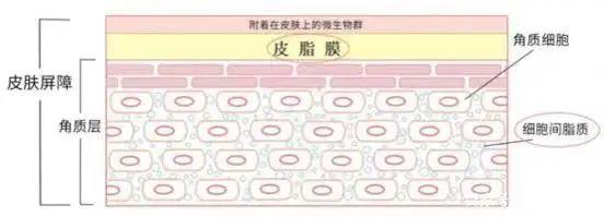 图片源于网络
