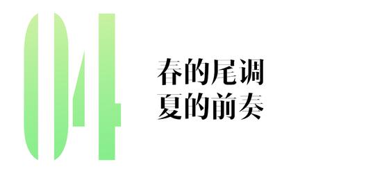 高段位小花 才不是土甜街香味儿