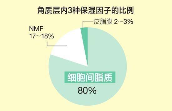 秋冬护肤指南 我们为什么每天都要保湿？