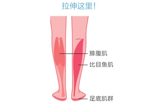 无法完成体前屈动作？开腿和前屈操就能甩开僵硬！