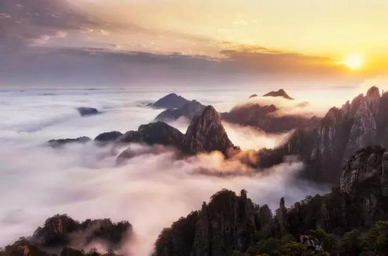 (图:@信仰杨小羊)