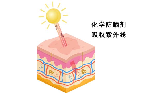 制作于canva