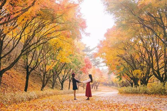 图片来源 ins
