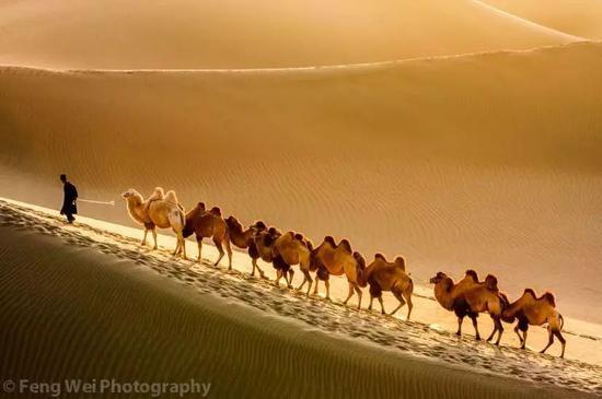 500px@Feng Wei