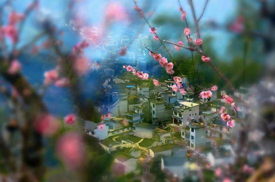▲图:@光影人家